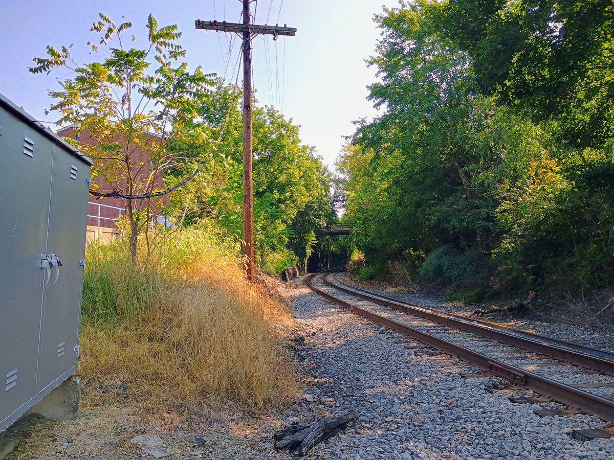 beshortrunultra's tweet photo. EZ run around town.
5.61 mi
253 ft elevation gain
81° F and sunny!
I might run another 3 miles later, I don't know.
FKT on Sunday, I'm so excited!
.
.
.
#finishstrongermindsetcoaching #runninggoals #runstrong #runnerofsteel #runmore #happyrunning #motherrunner #runningmotivation #runtoinspire