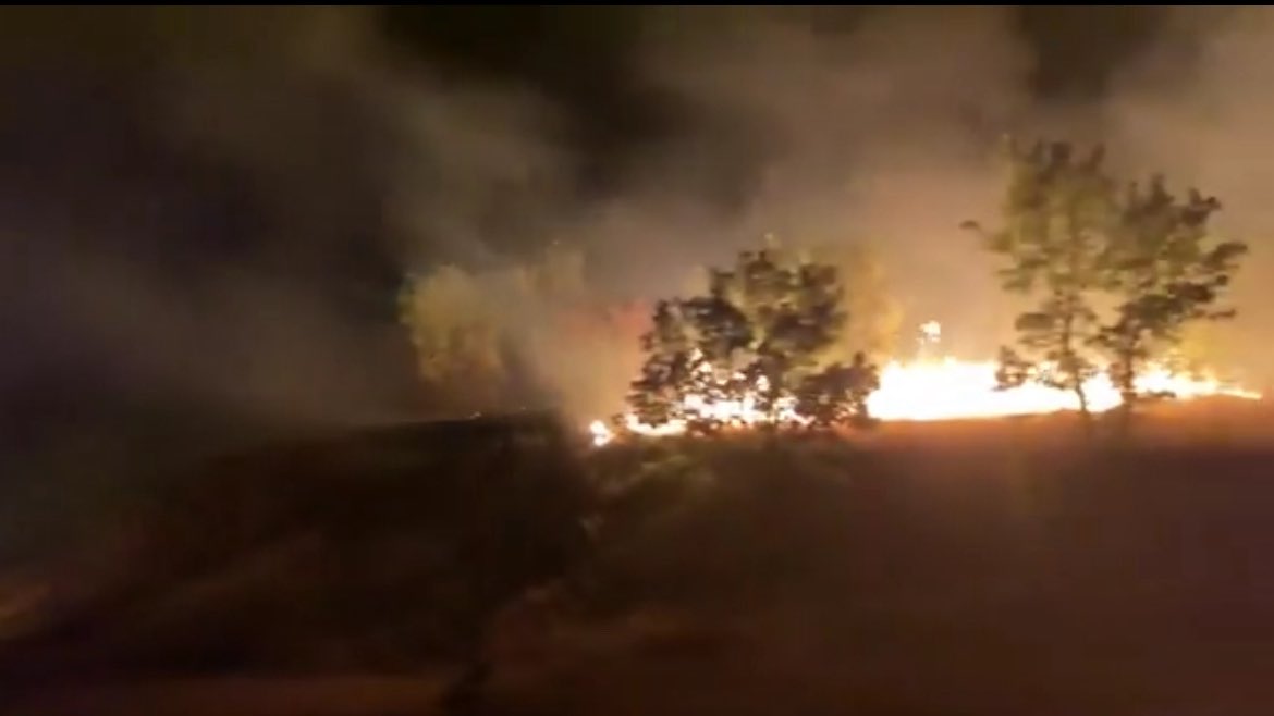 Dem Parti Gençlik Meclisi tweet media