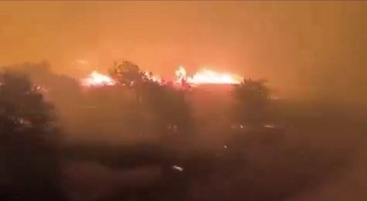 Dem Parti Gençlik Meclisi tweet media