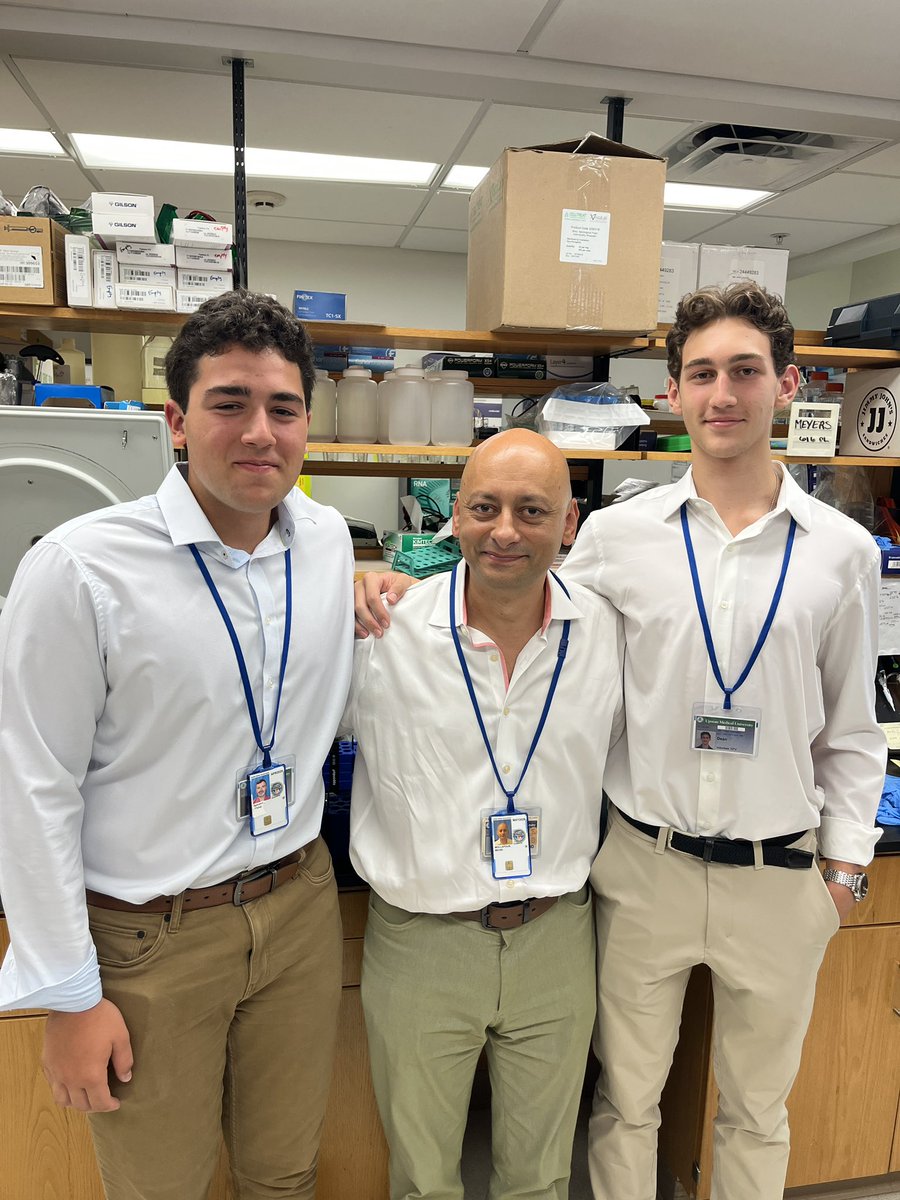 Mehdi Mollapour PhD tweet media