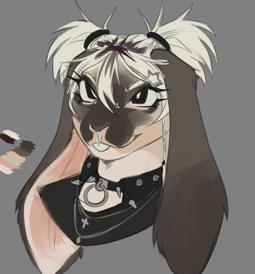 bnuy

(pre bids open)