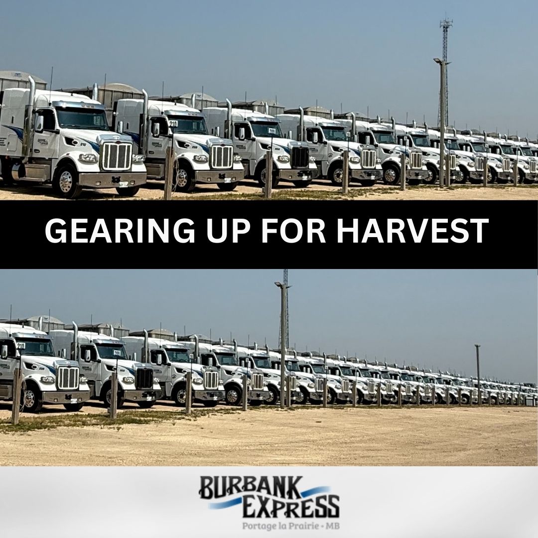 The countdown is on! Our trucks are ready, our team is prepped, and we are set to keep potatoes moving quickly and efficiently. Stay tuned—fresh spuds are on their way! 🥔