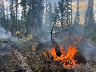 UWCNF's tweet photo. The #HaystackFire on the Heber-Kamas Ranger District is now 100% contained as of August 14, 2025.
Cause: Lightning. Size: 1/2 acre. Location: Near Haystack Lake. Due to minimal current and predicted fire behavior, the Haystack fire is set to patrol status. https://t.co/2XLGvZyuyA