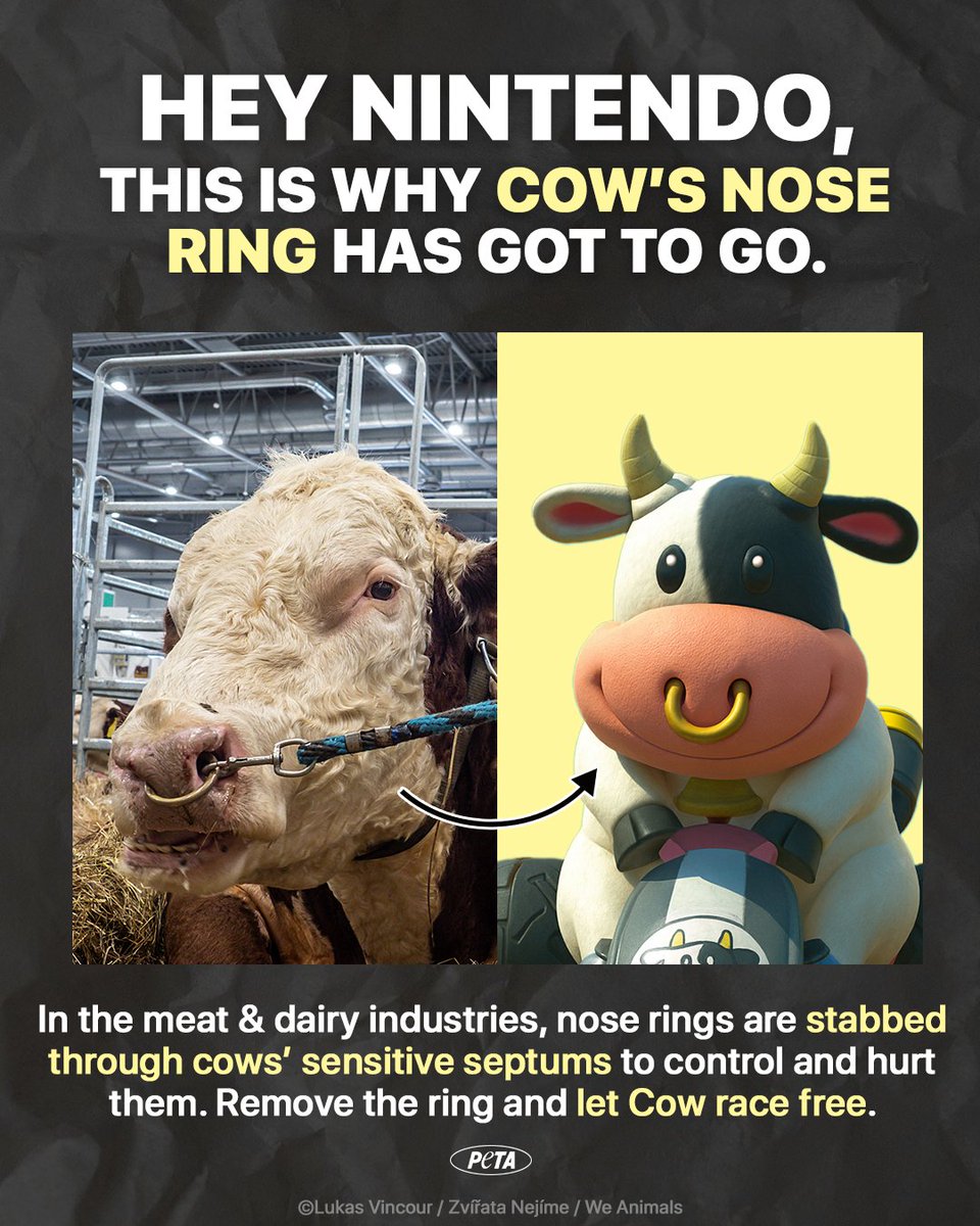 Let’s not make light of what cows endure in the meat &amp; dairy industries 💔 We’re asking <a href="/Nintendo/">任天堂株式会社</a> to remove Cow’s nose ring in Mario Kart World. If you agree, sign our petition 🔗peta.vg/43qb