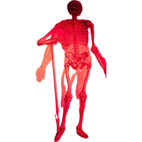 TiPL_97 ⚜️ tweet media