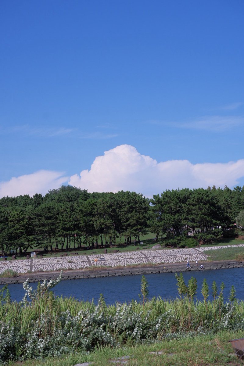 るぅちゃん tweet media