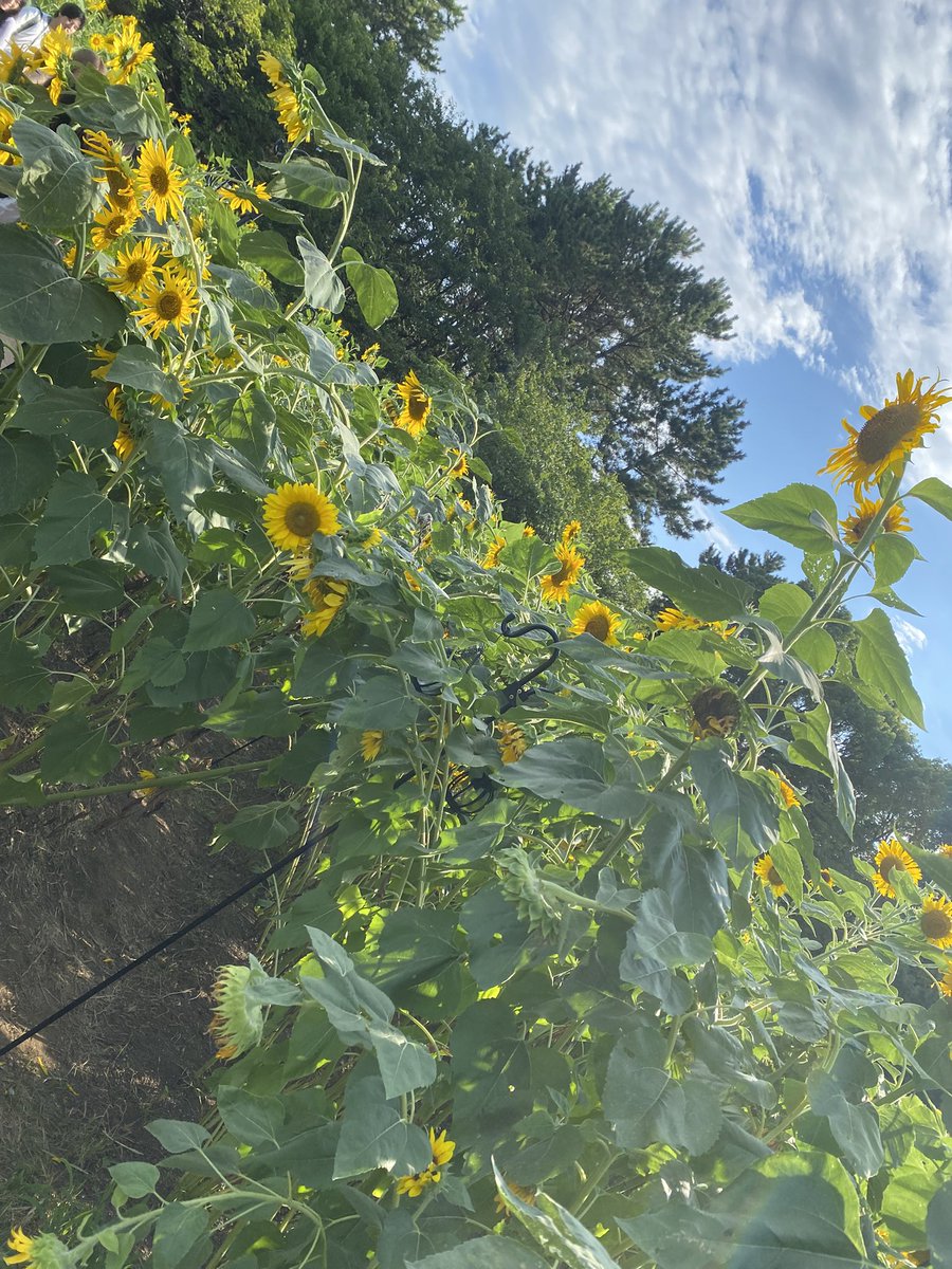 るぅちゃん tweet media