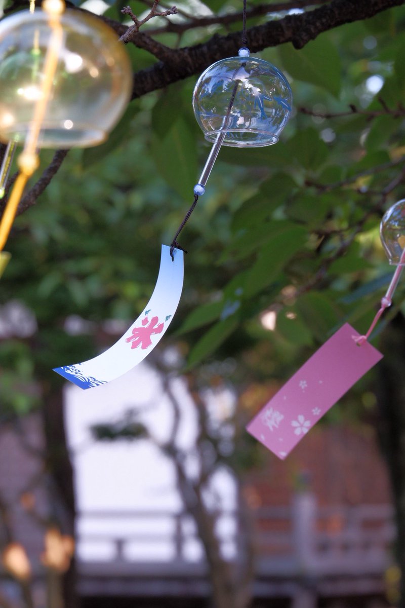 るぅちゃん tweet media