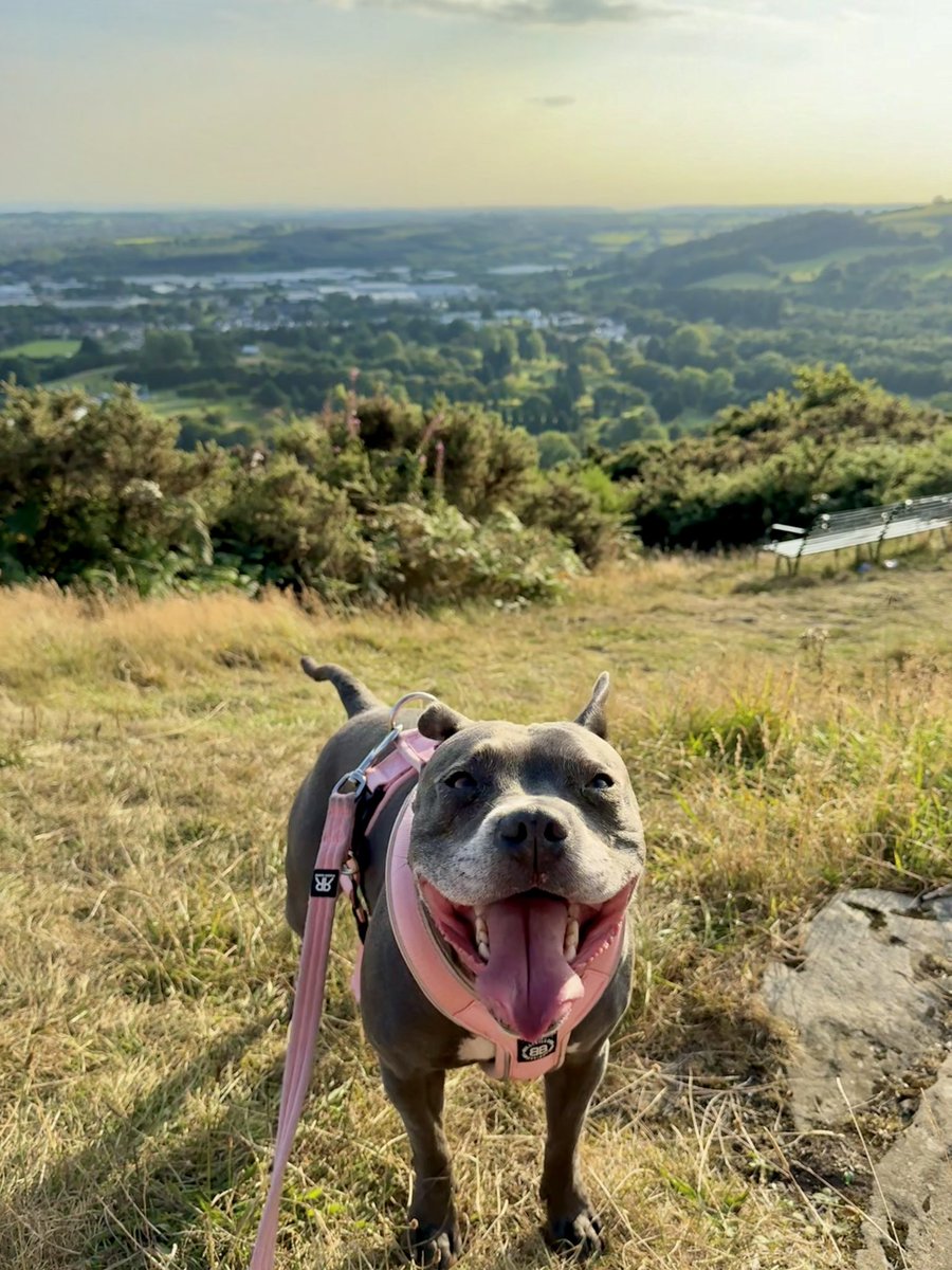 Isa Mary tweet media