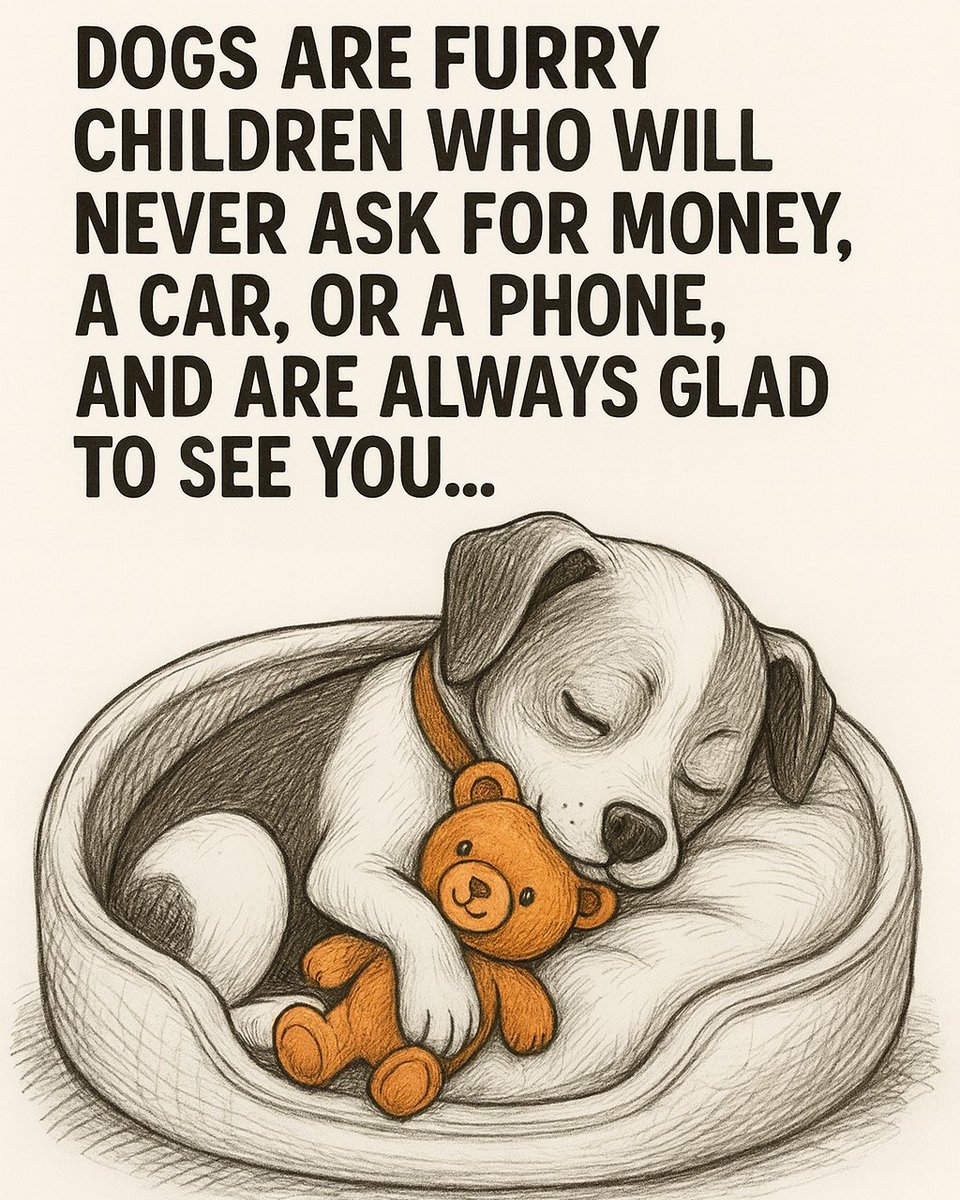 DogLovers03's tweet photo. https://t.co/m2qGSRK2tn
