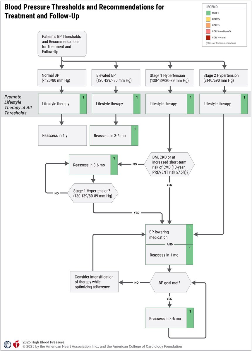 Altebainawi's tweet photo. 📢 إصدار جديد 2025!
أصدرت #الكلية_الأمريكية_لأمراض_القلب (#ACC) @ACCinTouch تحديثًا مهمًا حول تشخيص وعلاج #إرتفاع_ضغط_الدم (#Hypertension) 🩺🫀✨
🔹 أبرز التحديثات في الصور المرفقة ✅
📄 التفاصيل الكاملة:
https://t.co/JfWpt0muNC.. https://t.co/OkQCDLysGk