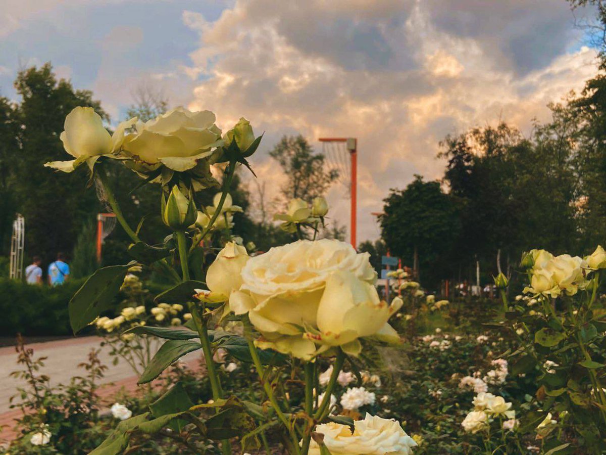 розбавлю вашу стрічку на ніч 😌

це вам з минулого… з мирного Покровська