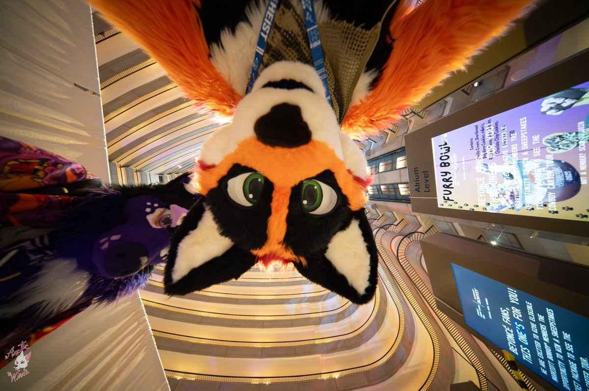 HEY how ya doing 👀

#FursuitFriday