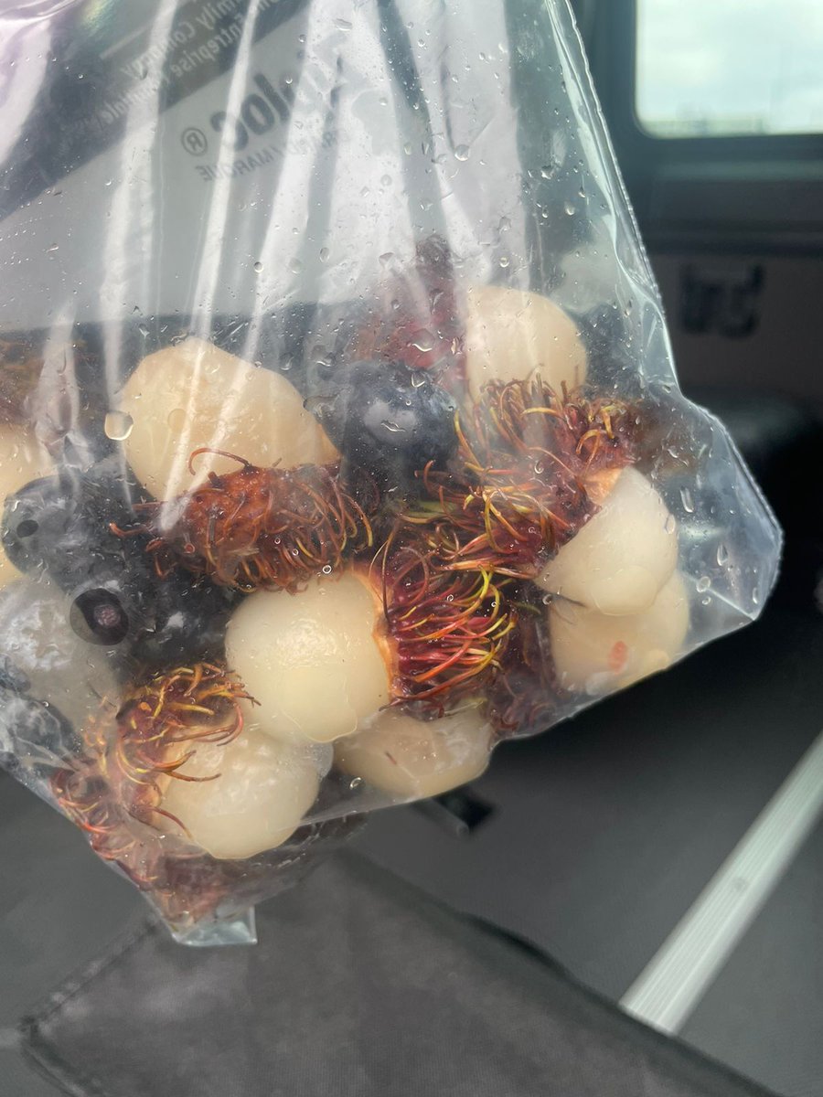 ABG_galapagos's tweet photo. 1/2 #Guayaquil| Realizamos rechazo de productos que no están permitidos su ingreso a las islas #Galápagos. 
En esta semana, agentes de bioseguridad inspeccionaron un avión privado, en el que se encontraron frutas como: arándanos, moras, achotillos, entre otros, los cuales, https://t.co/dMqbd8zwvk