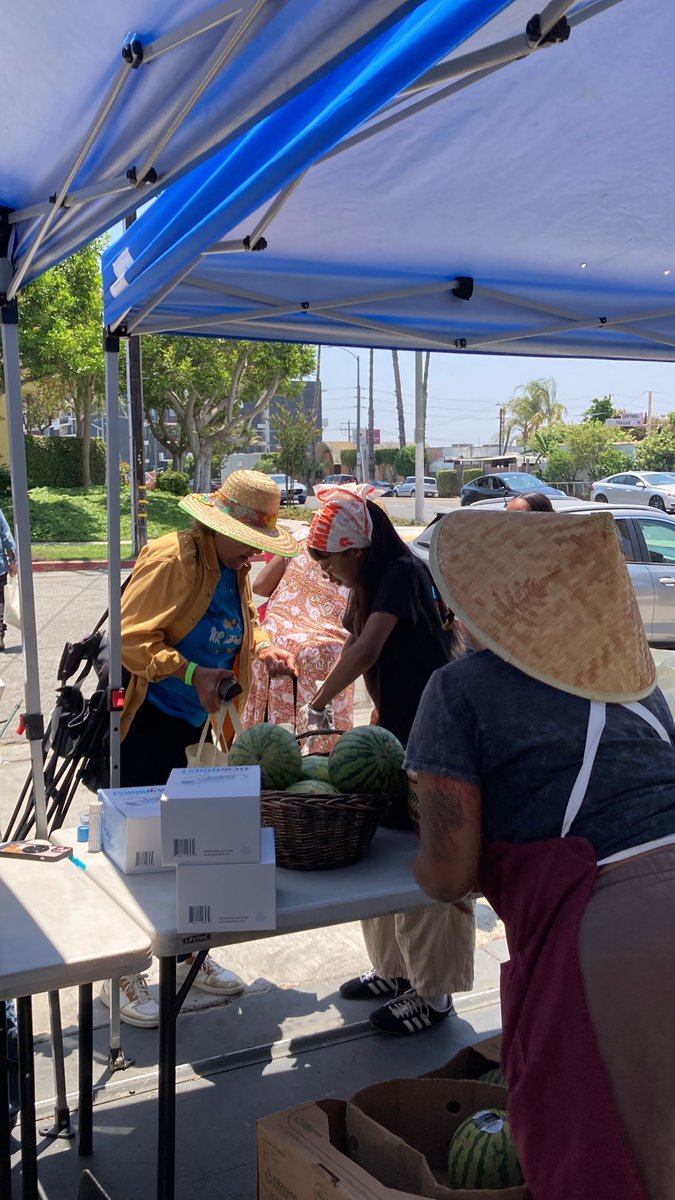 SJLI_CA's tweet photo. 🥳 It’s another #Friday and another day where our Health Equity team is distributing thousands of pounds of fresh produce 🥬 to hunger relief agencies and members of our community, thanks to long-time partner and friend, @foodforward.

#TGIF #HappyFriday #FeedThePeople https://t.co/akxURvSikQ