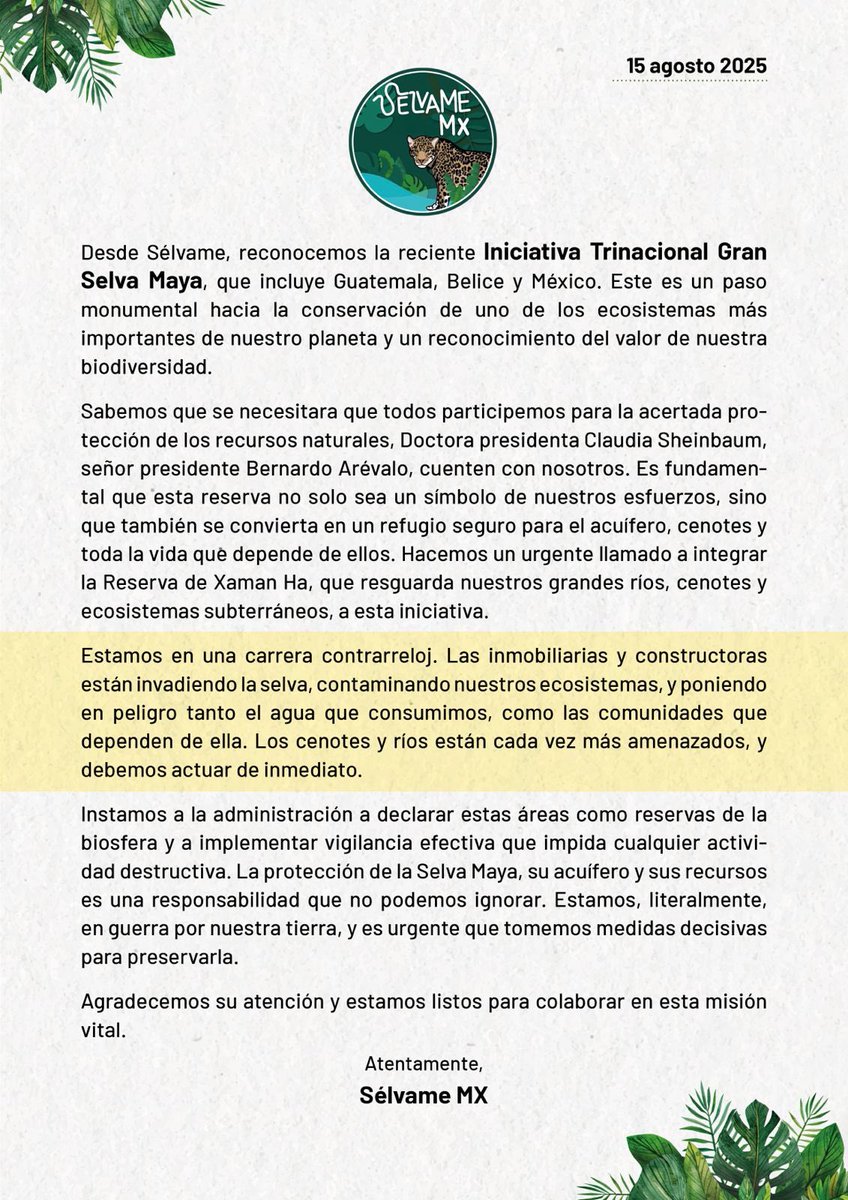 SELVAME (@selvamemx) on Twitter photo 🔴 COMUNICADO ante el anuncio reciente sobre la Iniciativa Trinacional Gran Selva Maya 🔴
<a href="/Claudiashein/">Claudia Sheinbaum Pardo</a> <a href="/SEMARNAT_mx/">SEMARNAT México</a> <a href="/PROFEPA_Mx/">PROFEPA</a> 🔴 COMUNICADO ante el anuncio reciente sobre la Iniciativa Trinacional Gran Selva Maya 🔴
<a href="/Claudiashein/">Claudia Sheinbaum Pardo</a> <a href="/SEMARNAT_mx/">SEMARNAT México</a> <a href="/PROFEPA_Mx/">PROFEPA</a>
