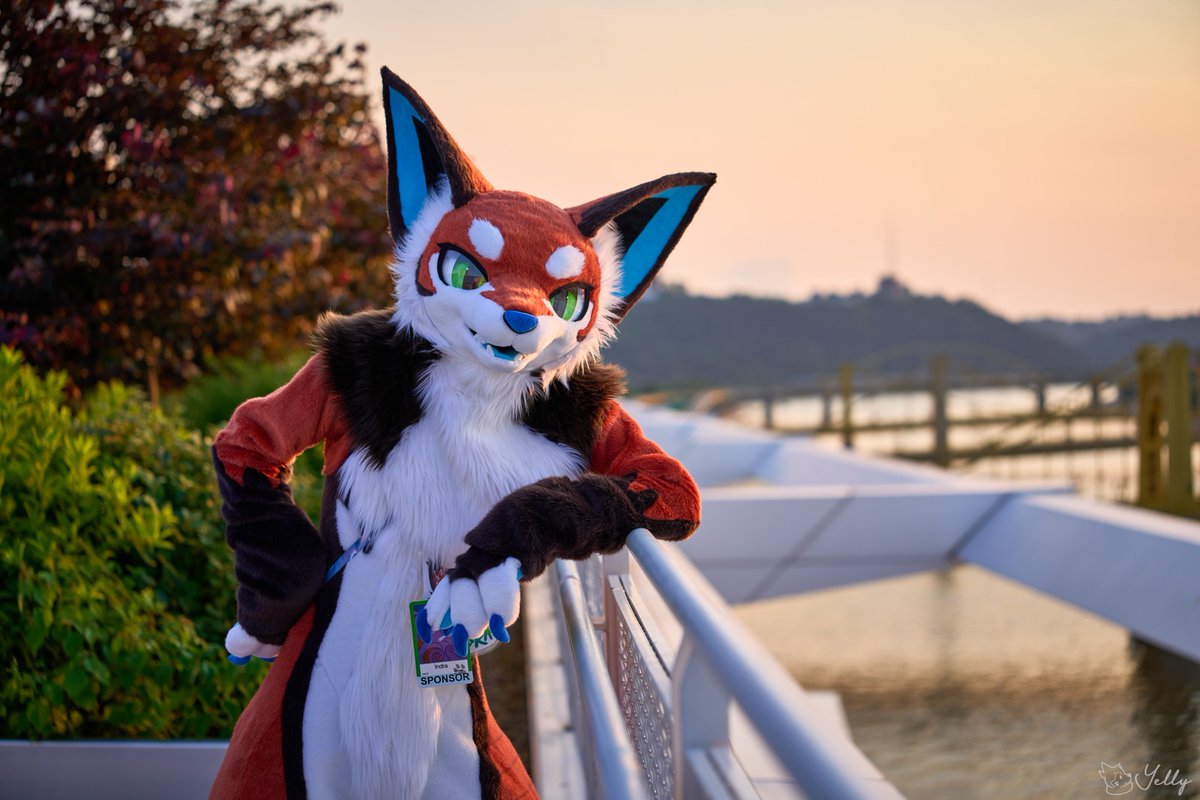 Yelly u r my favorite photographer :)
#FursuitFriday 
📸 <a href="/yellyXP/">YellyXP🔜FD, MP, AFC</a>