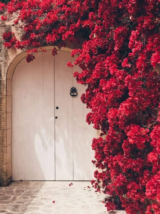 منيرة (@munerh_c) on Twitter photo 