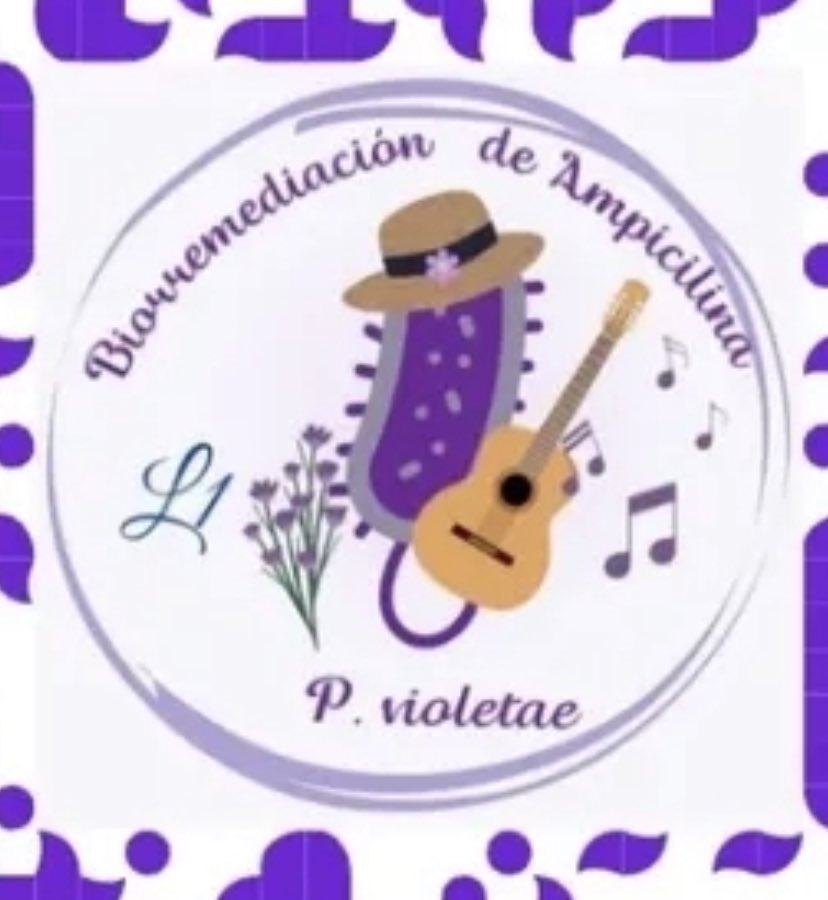 Quedan pocas horas #ChileSJWP2025
Josefa y Viviana van x el Premio Joven Nobel del Agua 2025🌎

Ellas proponen la biodegradación de contaminantes 🌊💉usando la P. violetae, una bacteria antártica chilena ❄️🦠💜🇨🇱
stockholmwaterfoundation.org/stockholm-juni…
water-prize/community/vote/#slide12858