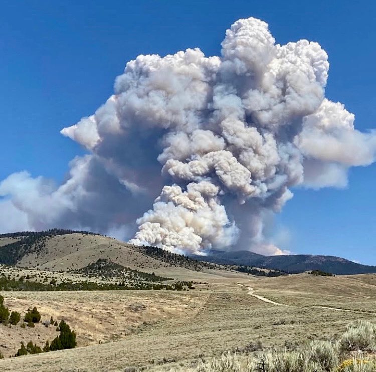 A Complex Incident Management Team has been ordered to the Bivens Creek Fire in Montana. Updated acreage is 500+ acres. 

Team fires are back in Montana. 

📷 : <a href="/BvrhdDrldgeNF/">Beaverhead-Deerlodge</a>