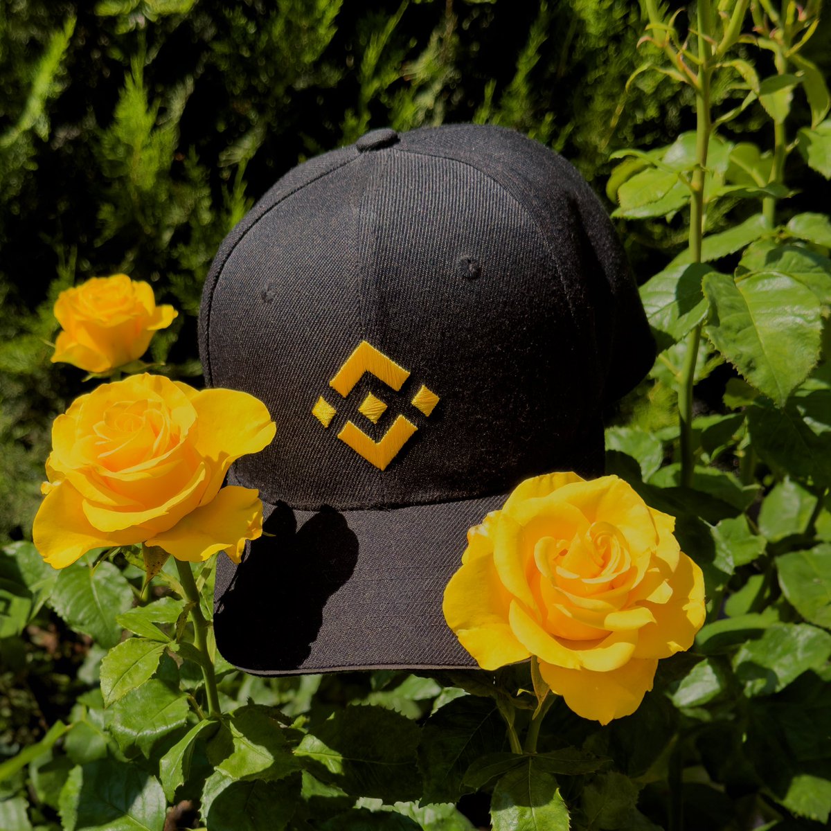 binance's tweet photo. Bloom &amp; rise unstoppable, with Binance by your side. https://t.co/KyEQceAabP