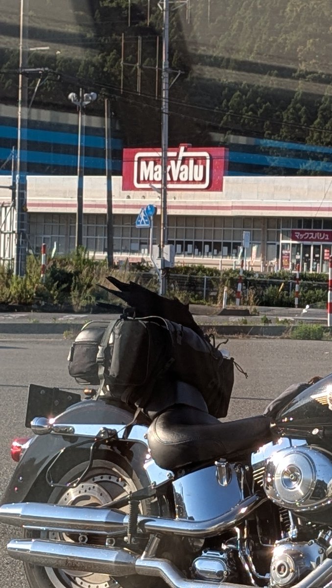 kuronagimaruru's tweet photo. コンビニで休憩中
車上荒らしされました🐦‍⬛ https://t.co/ZjaucbKShk