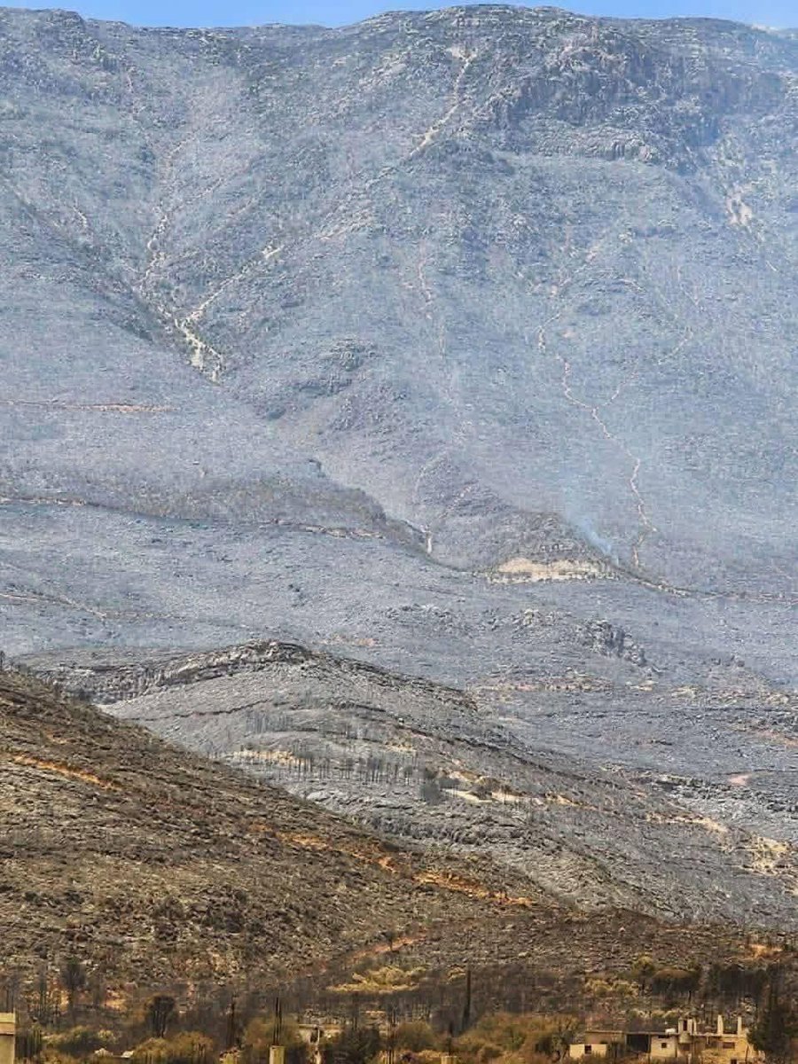 غابات الساحل السوري قبل وبعد الحرائق 💔