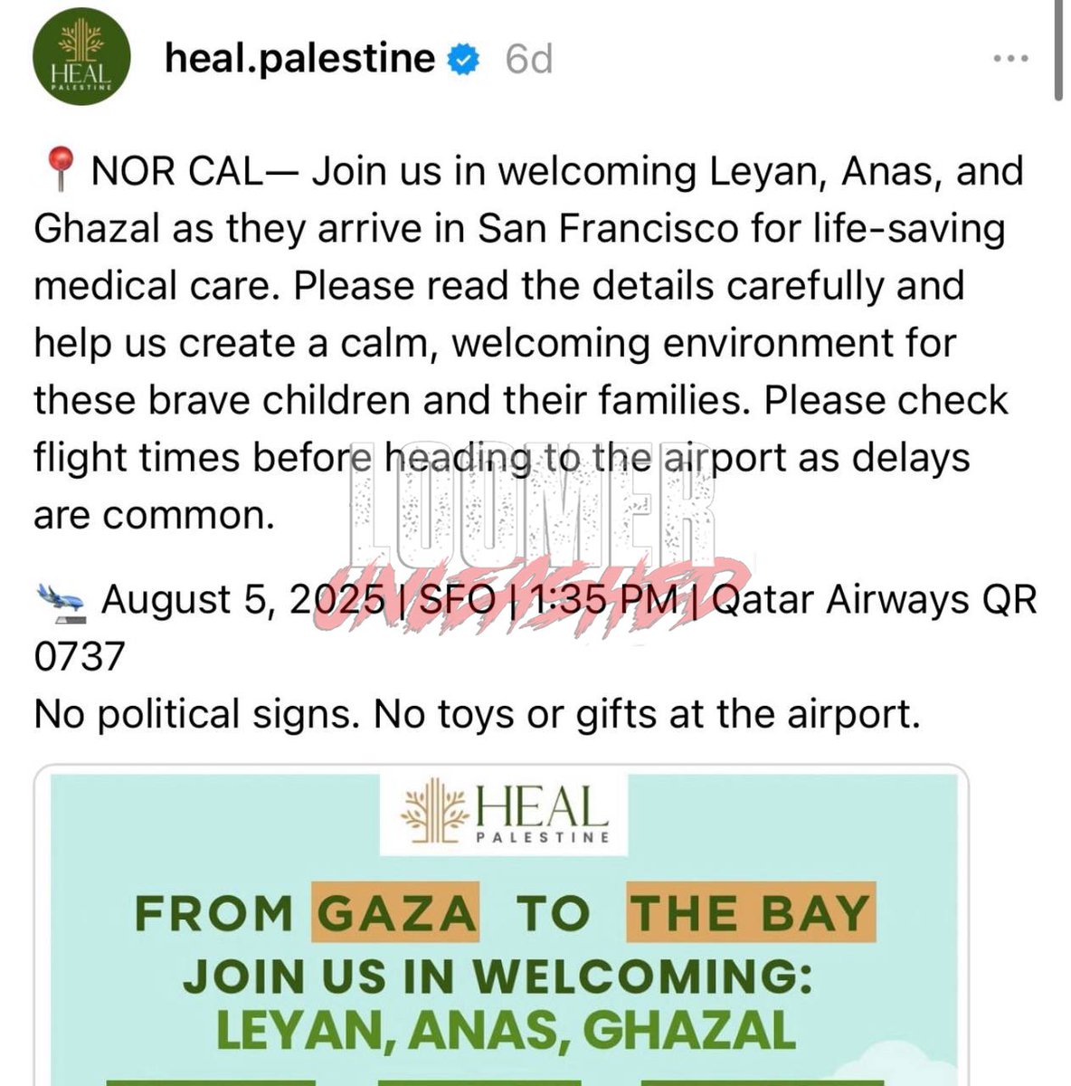 <a href="/RepFine/">Congressman Randy Fine</a> Thank you, Congressman. <a href="/RepFine/">Congressman Randy Fine</a> 

A group called Heal Palestine is working with Islamic, pro-HAMAS 501c3 tax deductible groups in the United States that are affiliated with the Muslim Brotherhood and funded by Qatar to help bring Palestinian GAZANS to the United States.

I just