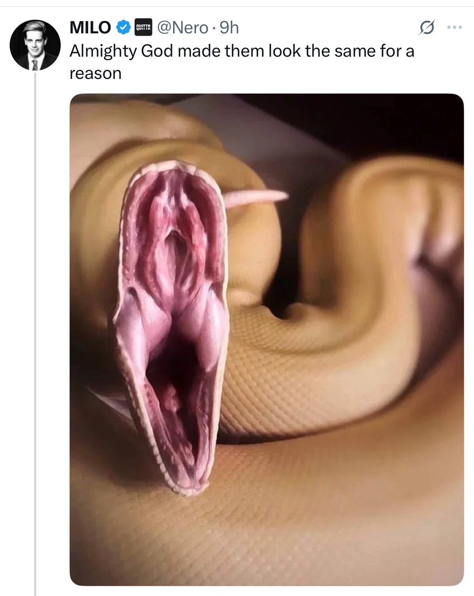 When you’re definitely not gay anymore and definitely aren’t petrified and repulsed by pussy.