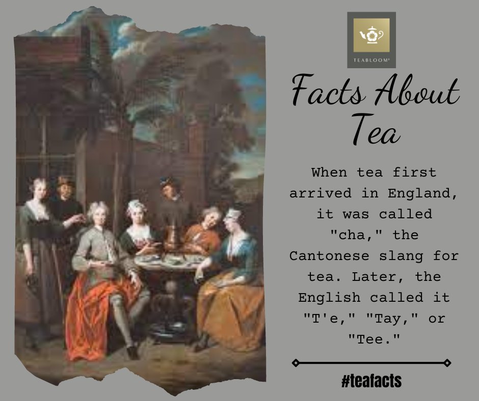 teabloom's tweet image. Tea was called something completely different when it first arrived in England... #TeaFacts #Teabloom