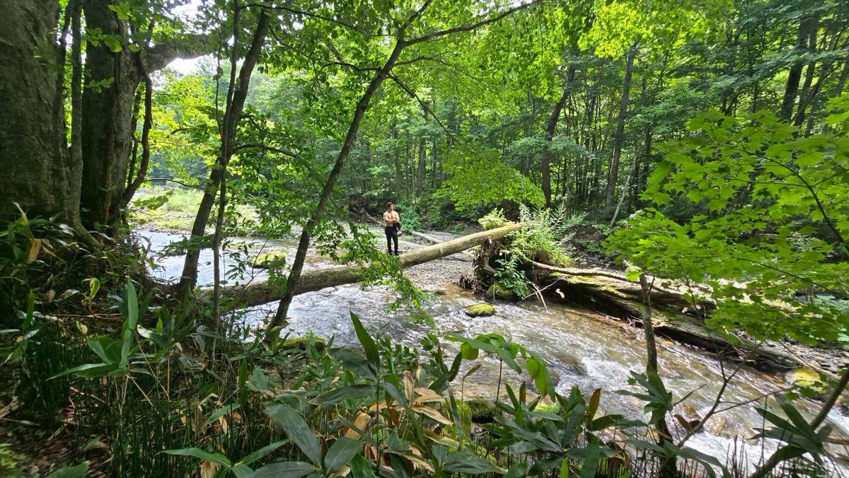 青森の十和田湖が素敵すぎた。
思わず脱いでしまった。
魂チャージ。