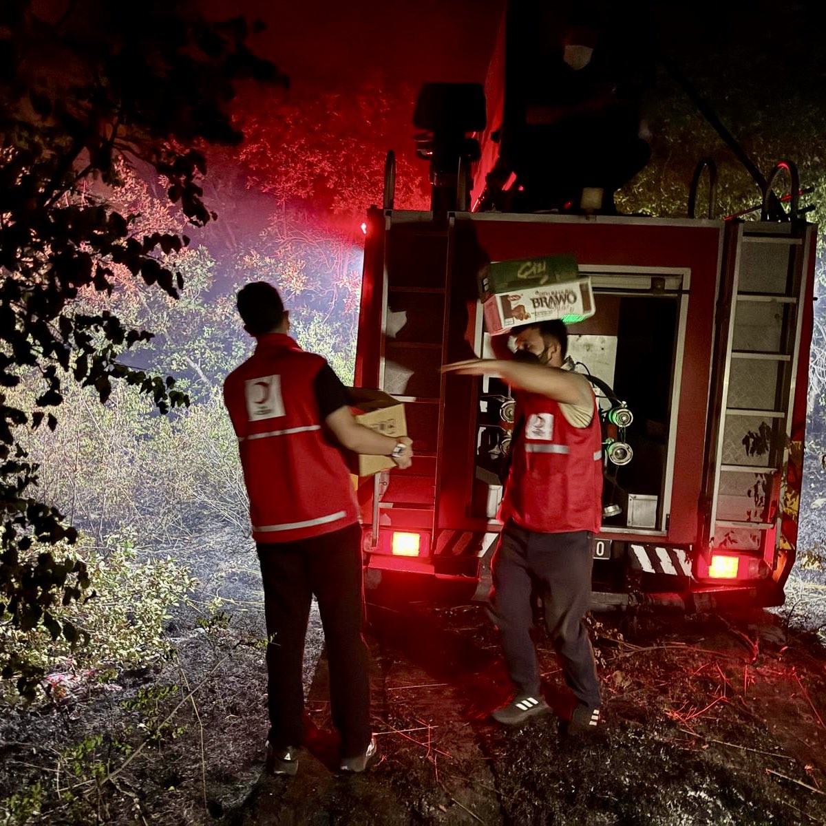 Diyarbakır için sahadayız!

Yangının ilk anlarından itibaren gönüllülerimizle birlikte afet bölgesindeyiz. Ekiplerimize destek oluyor, yaraları birlikte sarıyoruz.

🔴 #DaimaHazır
