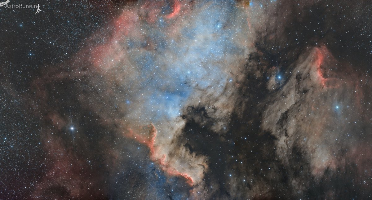 Trzy piękne noce w kompleksie mgławic w Łabędziu. Każdej nocy kolejny panel, w efekcie mamy mozaikę 3 fotek. Po lewej Ameryka Północna, po prawej Pelikan, a pomiędzy nimi ciemna mgławica pozornie rozdzielająca cały kompleks. 
#AstroRunning