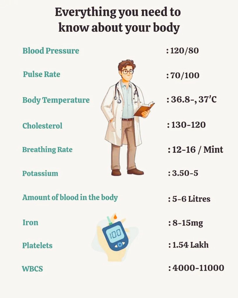 Everything You Need To Know About Your Body: