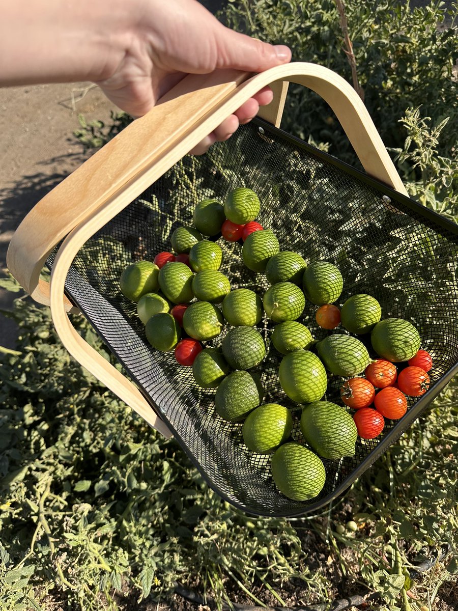 Burton Academy of Science and Agriculture tweet media