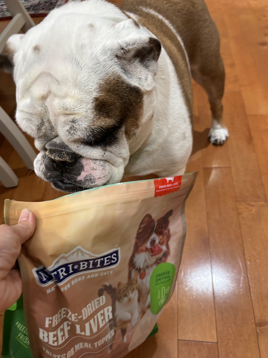 Ooh. Ooh. I love astronaut ice-cream!   IYKYK