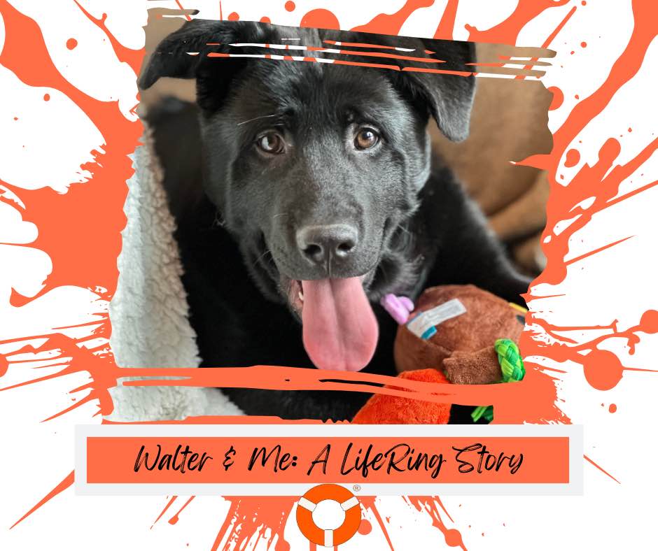 Today on the LifeRing blog, read Cathy’s remarkable story of renewed health, hope, and Summer walks with her dog Walter since she found recovery in LifeRing. Your donations help make it possible for everyone to #grabalifering! #lifering #sober #recovery
lifering.org/summer-walks/