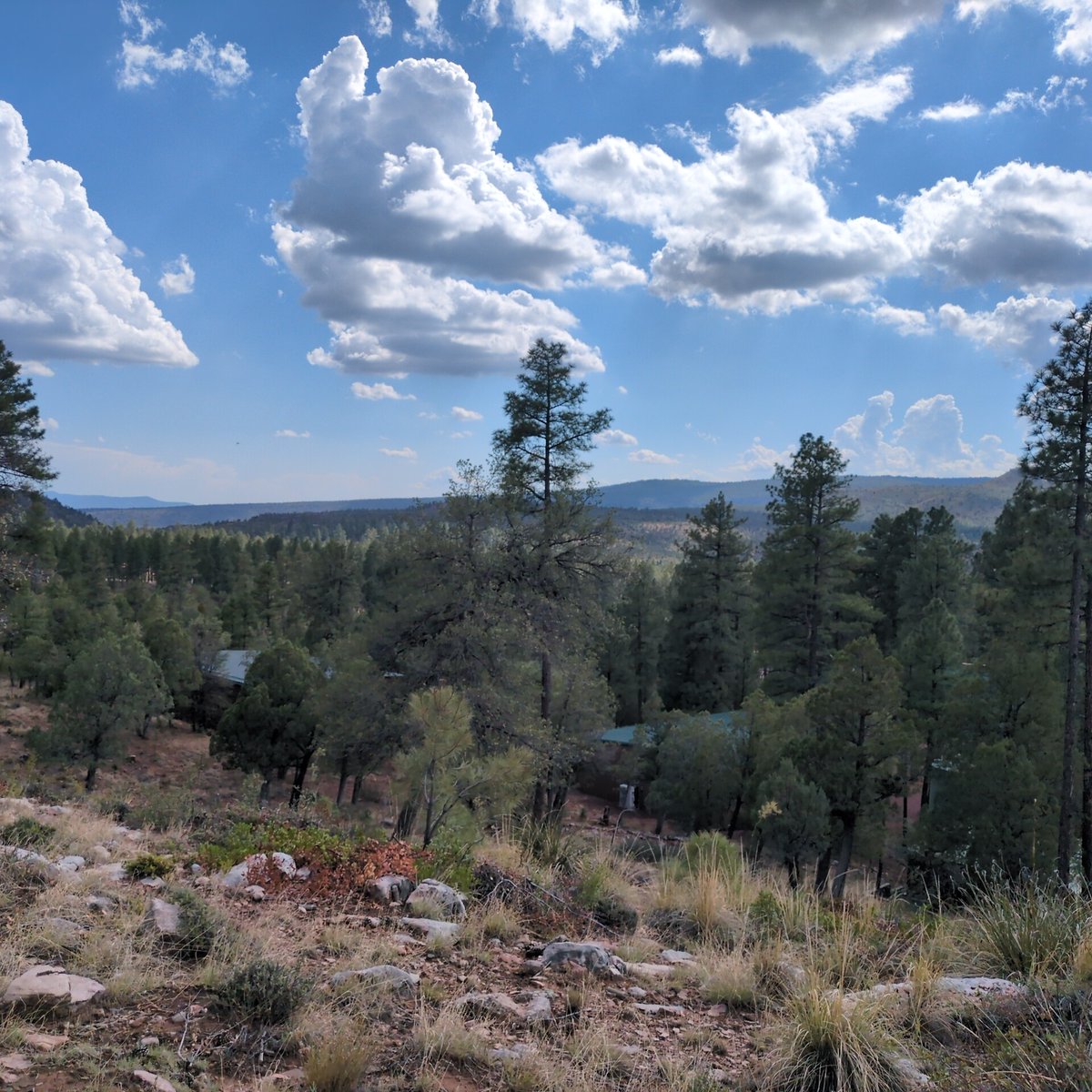 People, including me, tend to forget just how amazing the State of Arizona truly is. So much more to it than 117° in Phoenix.