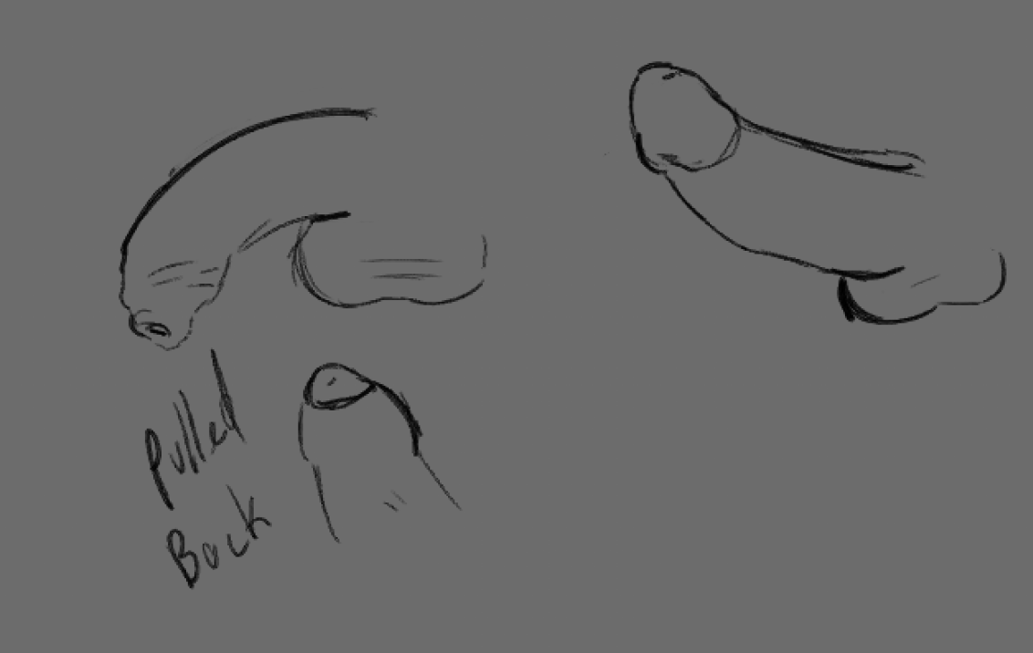 civ_dem's tweet photo. friend didnt know what a uncircumcised pp looked like 

so i decided to do a crappy anatomy practice to show him instead of just showing him a picture https://t.co/VZuoQtpX9f