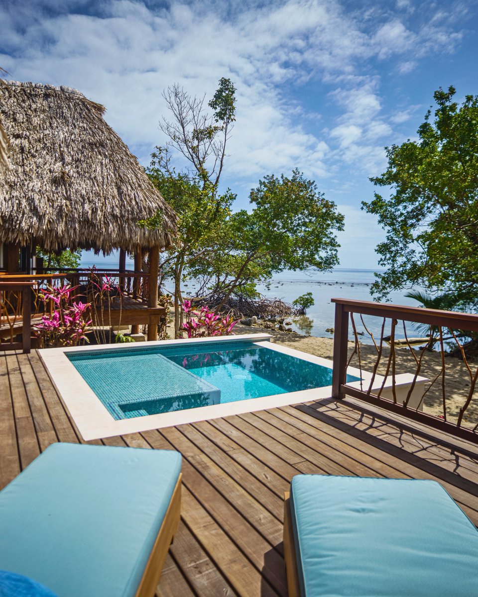 Gecko Vacation Rentals tweet media