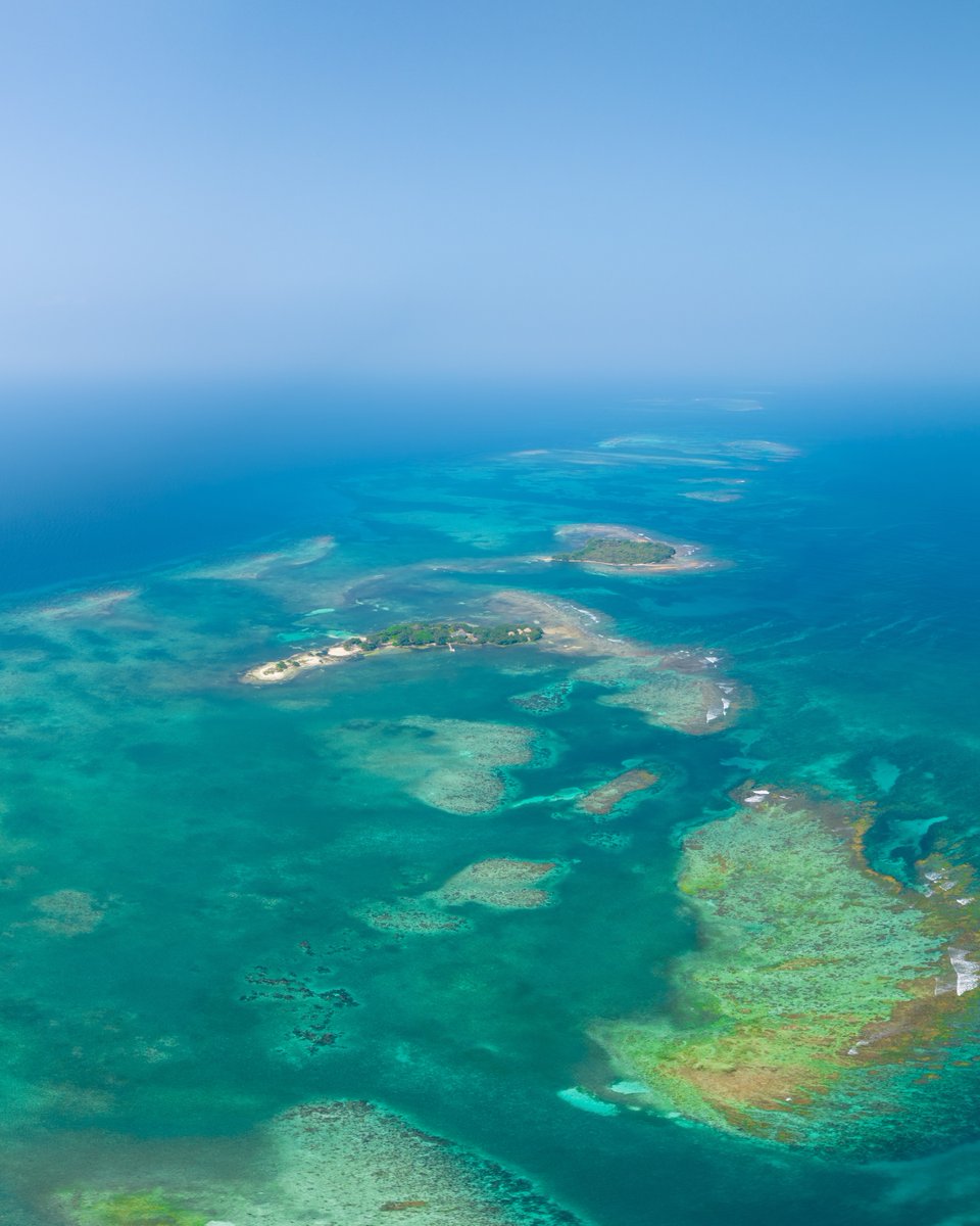 Gecko Vacation Rentals tweet media