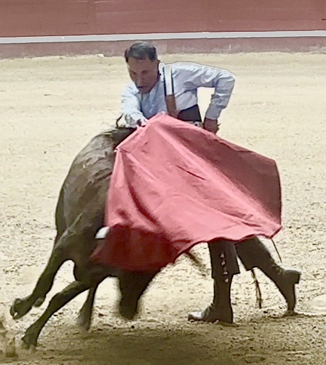 Gracias a la vida que me ha dado tanto.
Sin duda el torear es algo que mucha veces no puedo estresar con palabras. Hay cosas que son evidentes.