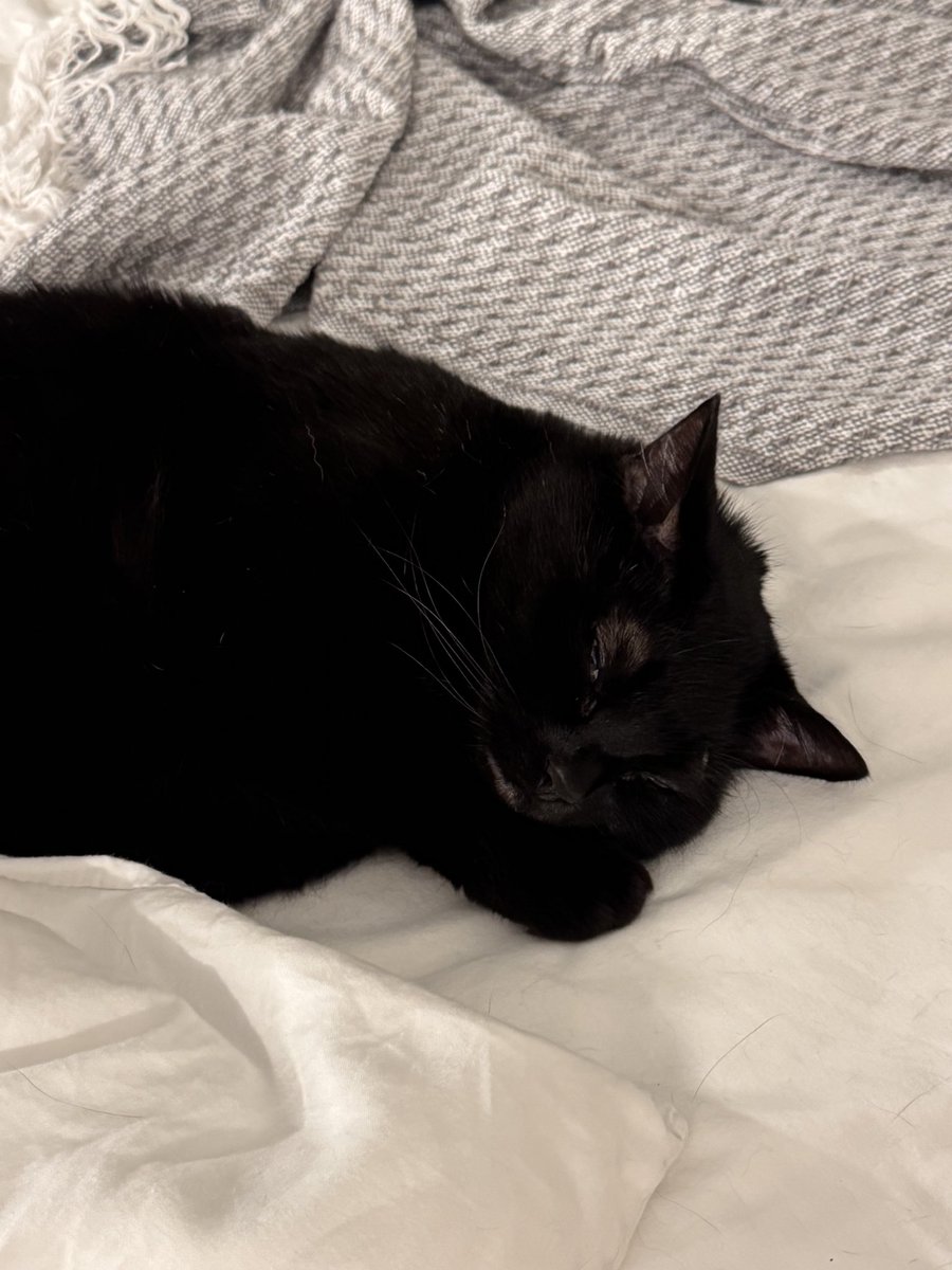 Побув цілий день неймовірно красивим, втомився і спить.