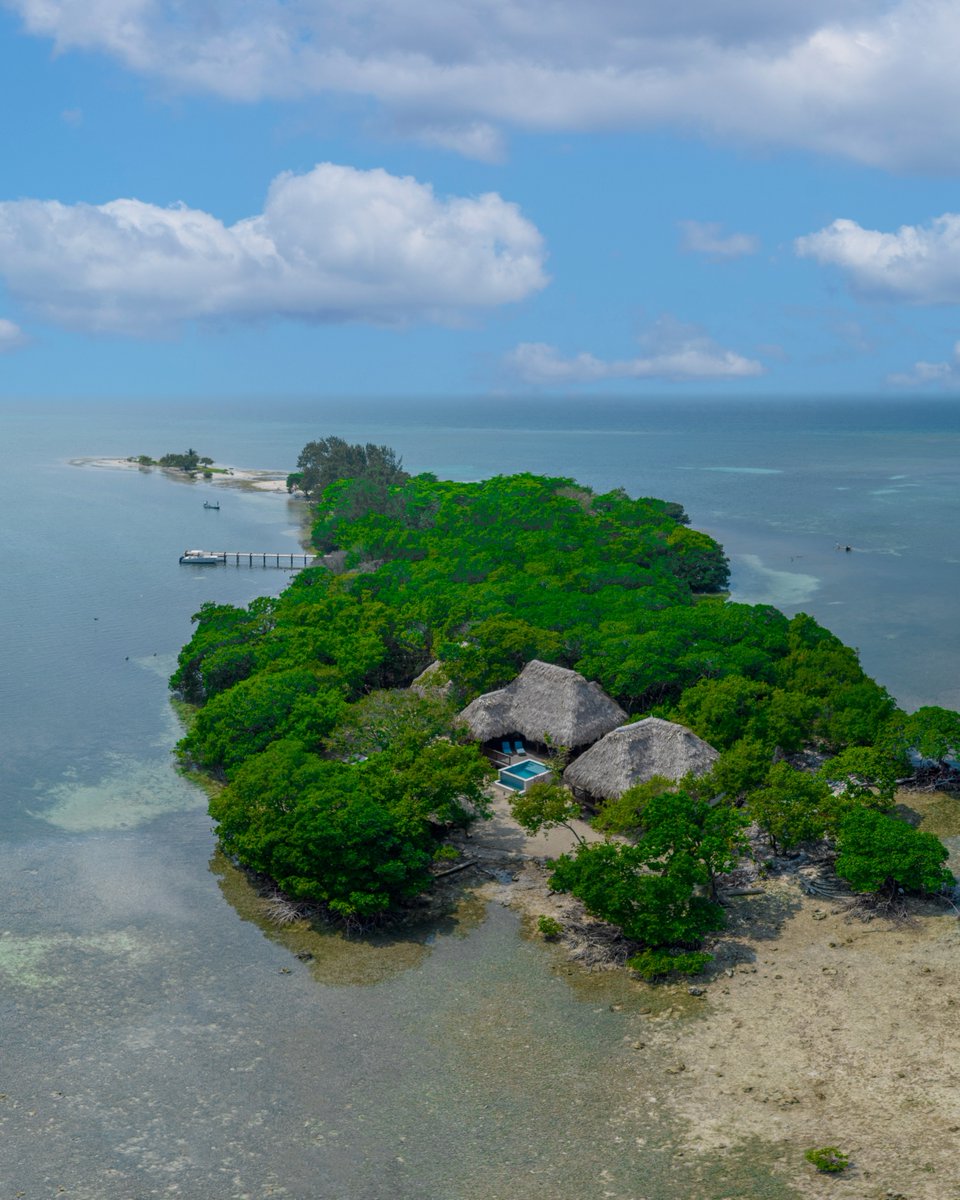 Gecko Vacation Rentals tweet media