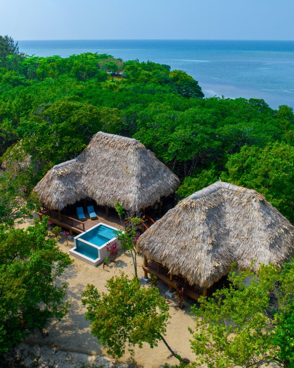 Gecko Vacation Rentals tweet media