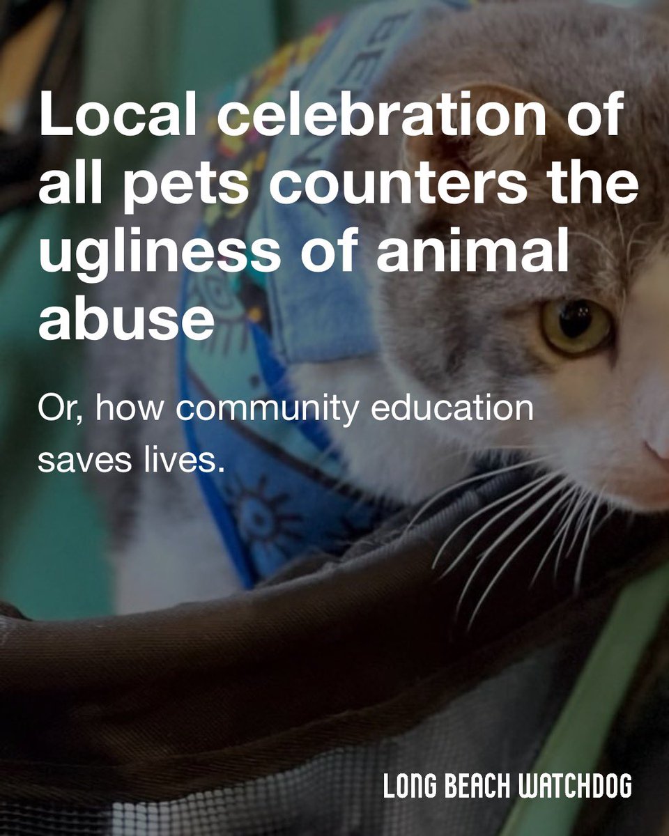 In the past couple of months, two instances of animal abuse sparked anger and action among the animal community in Long Beach.

Read about how you can help on the Watchdog. lbwatchdog.com/long-beach-cel…