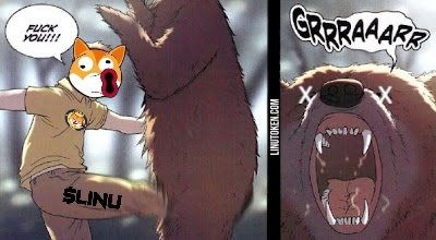 $LINU 🚀 
No bear zone!