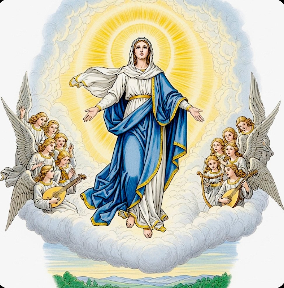 Lady_Pirate's tweet image. La ringrazio Santo Padre, non dobbiamo mai perdere la speranza di poter costruire un mondo migliore infatti, con il prezioso aiuto della nostra Santa Madre!
~ #AveMaria, Regina della Pace, prega per noi ~🙏🕊️✝️🤍✨

#AssunzionediMaria #Assunta #15agosto2025 #PapaLeone #PopeLeoXIV