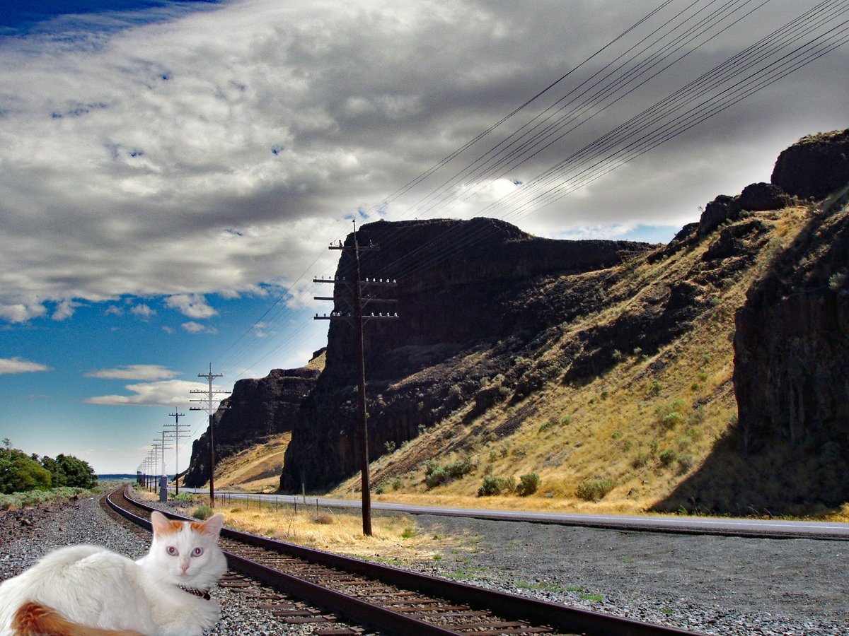 BarronBeauxArts's tweet image. "Today's #songoftheday is 'Road' by Paul McCartney.

🎵We came from nowhere
Hiding from a storm
We cling together
To keep each other warm

The road to somewhere
Stretches through the night
We follow blindly
Heading for the light🎵

👉Click to listen==&amp;gt; dropbox.com/scl/fi/ohtfdoy…