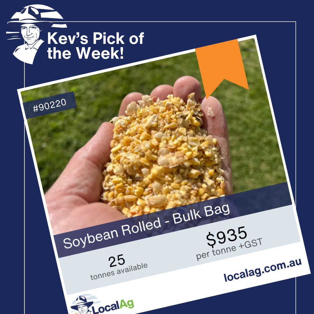25 tonnes available – Soybean Rolled Bulk Bag

44% Protein | 20% Fat
🐮A top-notch protein boost for your livestock — perfect for keeping condition up and performance strong.

✅ Great protein source for your herd
✅ Milled fresh to order
✅ Available now in bulk bags

Got stock
